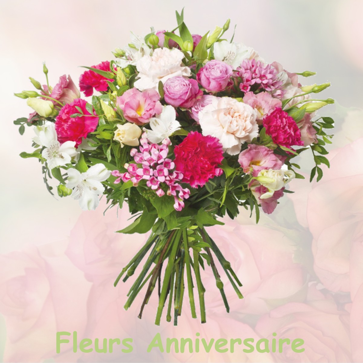 fleurs anniversaire MESSIMY-SUR-SAONE